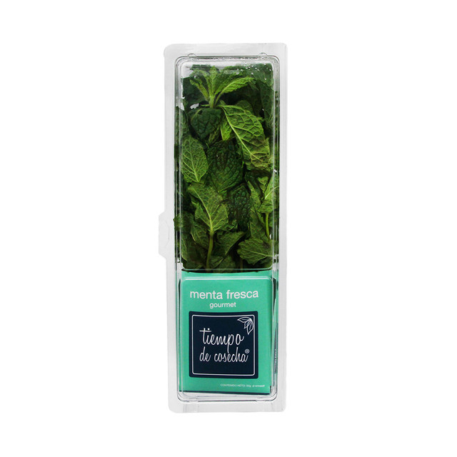 Mint - (case) Only available seasoning